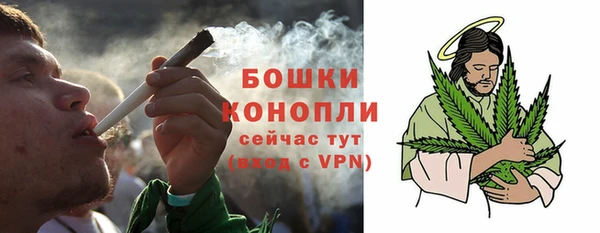 ECSTASY Бородино