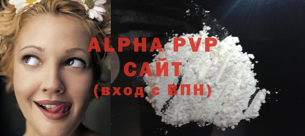 ECSTASY Бородино