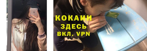 ECSTASY Бородино