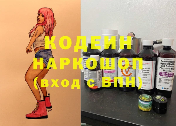 ECSTASY Бородино