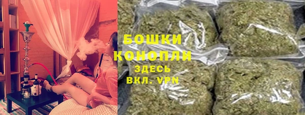ECSTASY Бородино
