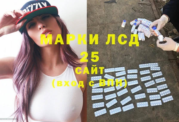 ECSTASY Бородино