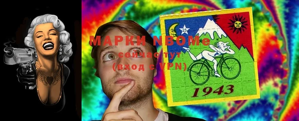 ECSTASY Бородино