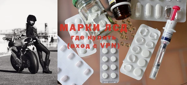 ECSTASY Бородино